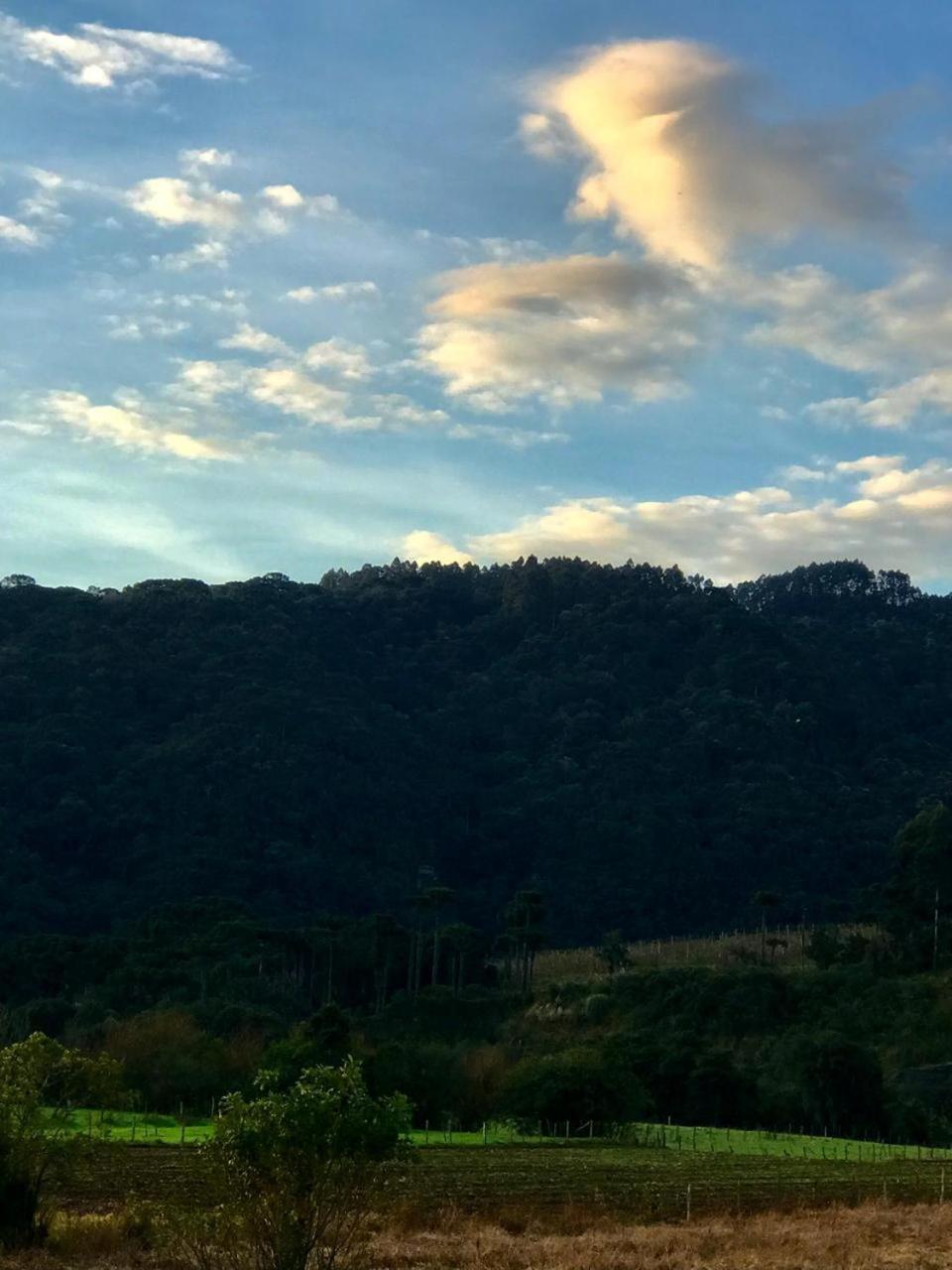 Cabana E Casa De Campo Bromelia Urubici Eksteriør billede